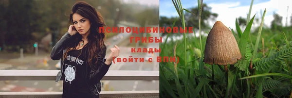 соль курить ск Лагань