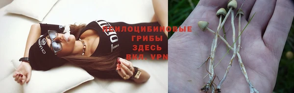 герыч Ладушкин