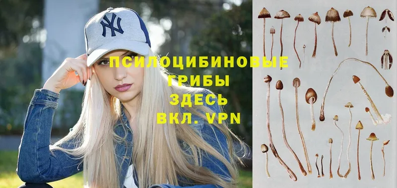 Галлюциногенные грибы Magic Shrooms  закладки  ссылка на мегу как зайти  Починок 