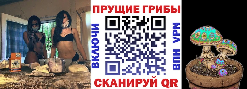 Псилоцибиновые грибы GOLDEN TEACHER  Починок 