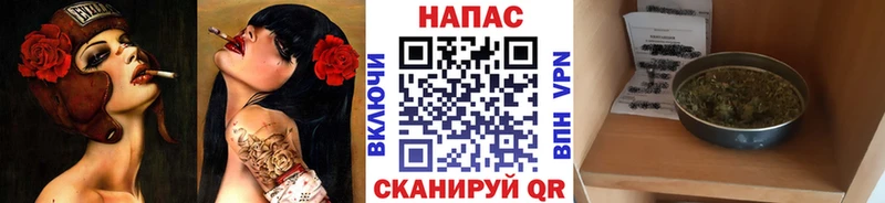 Марихуана Bruce Banner  где купить   Починок 
